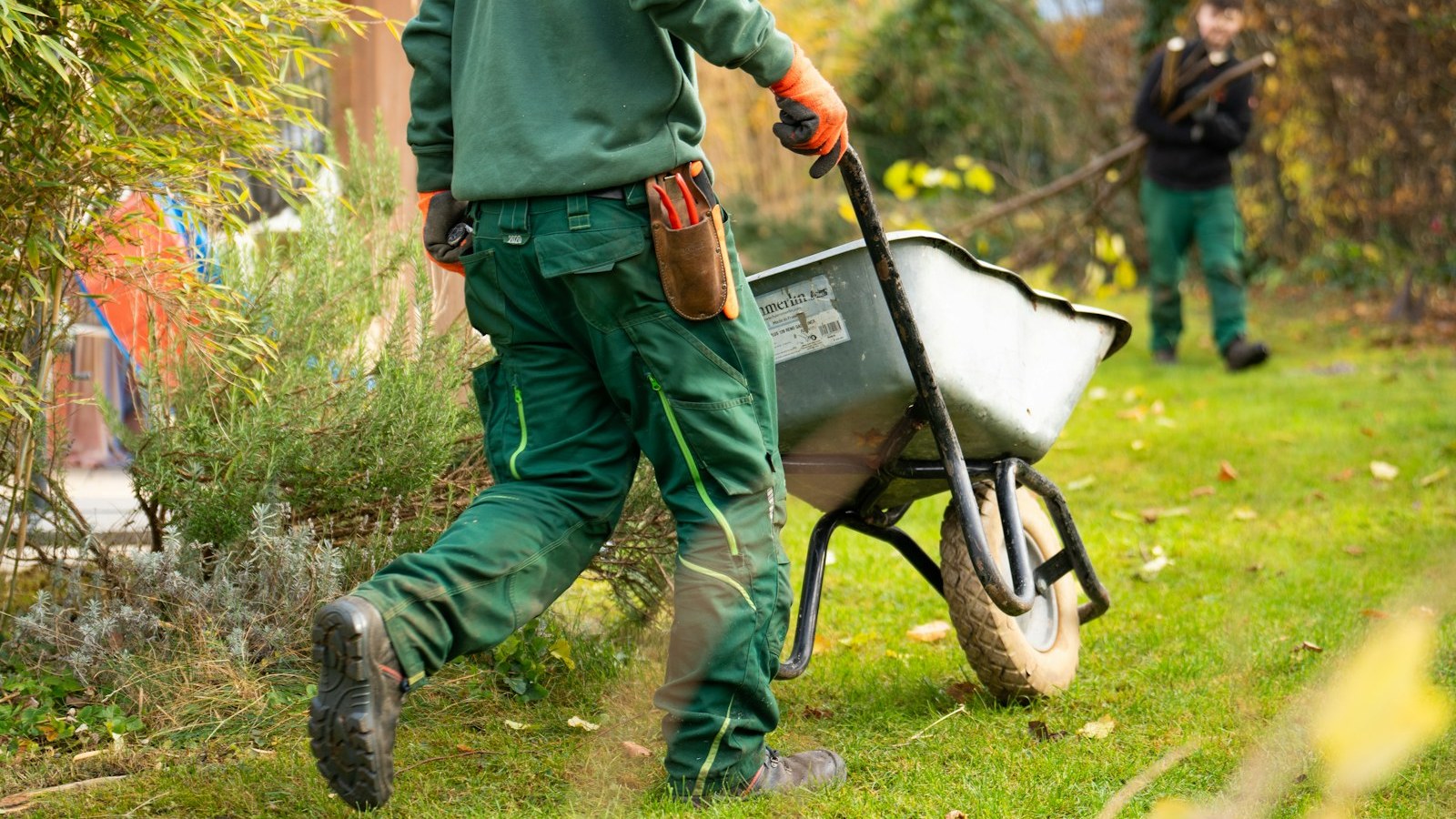 Landscapers cleaning the garden. Person pushing an empty wheelbarrow.