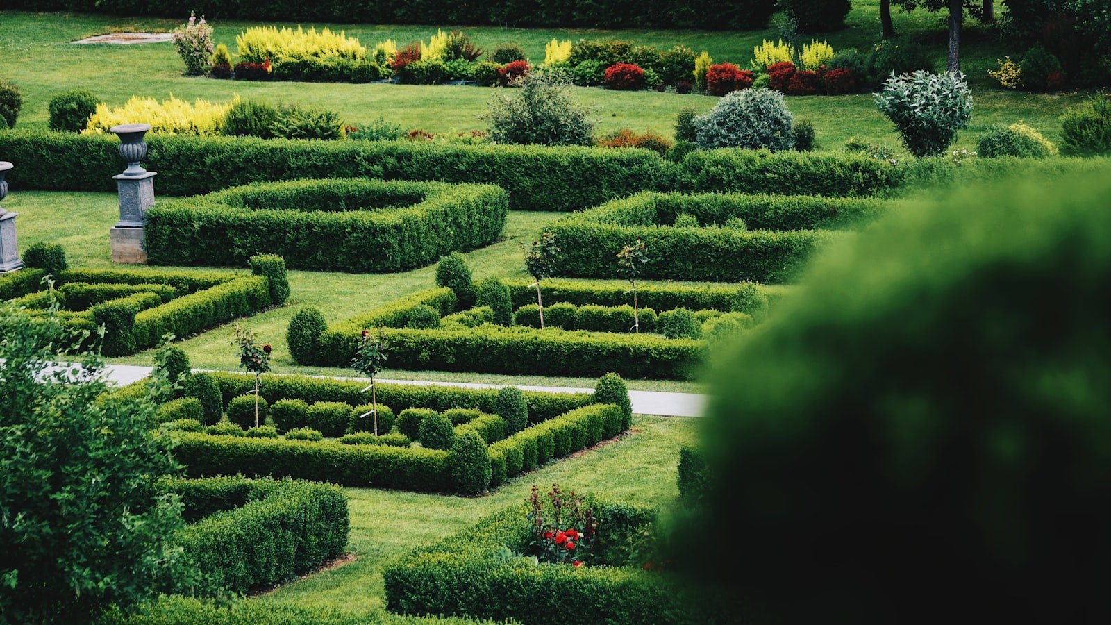 Buget Versailles